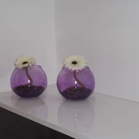 茜茜之家公寓